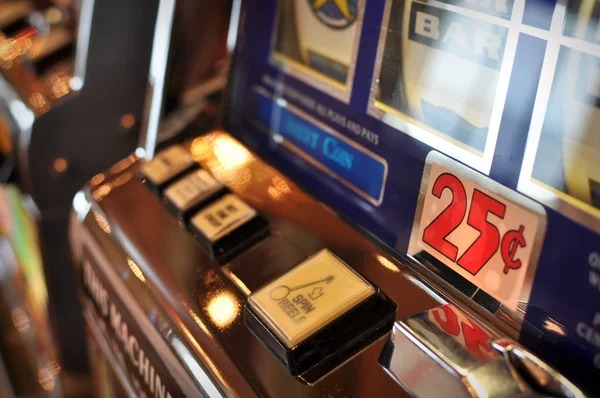 hoki win mobile app interface showing sportsbook and live-dealer options