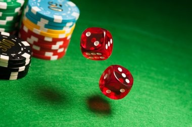 live dealer table opening on hoki win